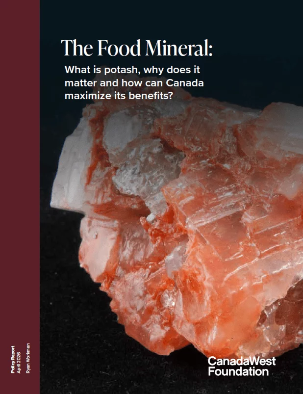 The Food Mineral report cover