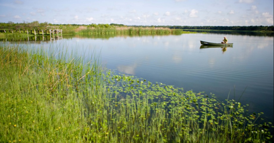 Rice-Stewardship-Wetlands